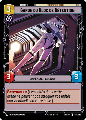 Garde du Bloc de Détention