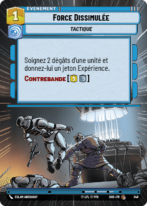 Force Dissimulée