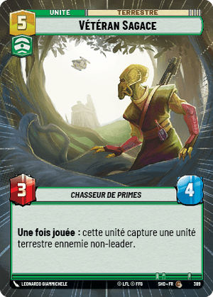 Vétéran Sagace