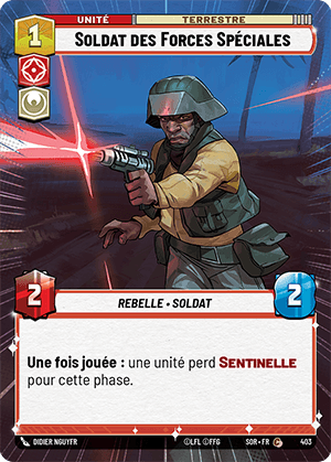 Soldat des Forces Spéciales