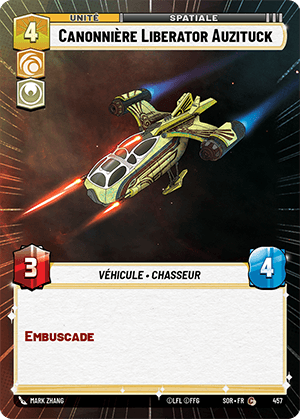 Canonnière Liberator Auzituck